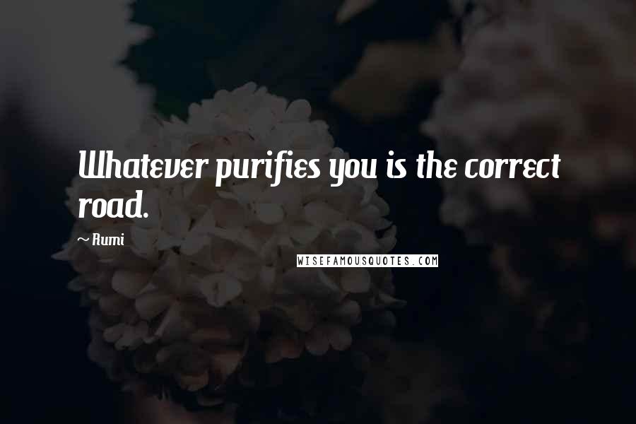 Rumi Quotes: Whatever purifies you is the correct road.