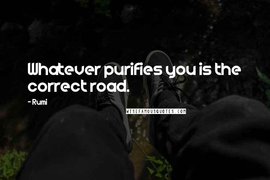 Rumi Quotes: Whatever purifies you is the correct road.