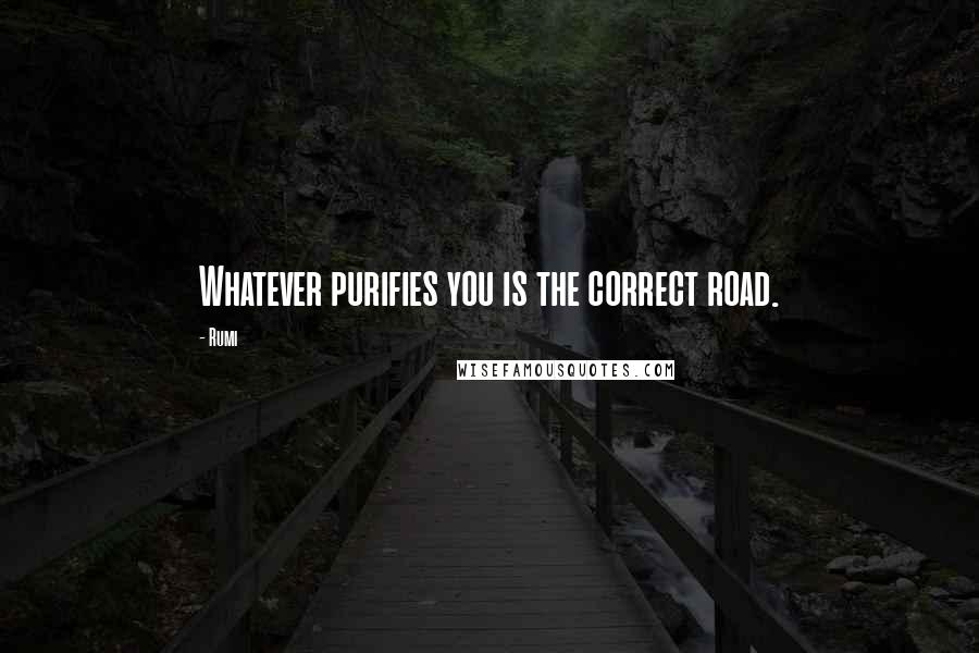 Rumi Quotes: Whatever purifies you is the correct road.