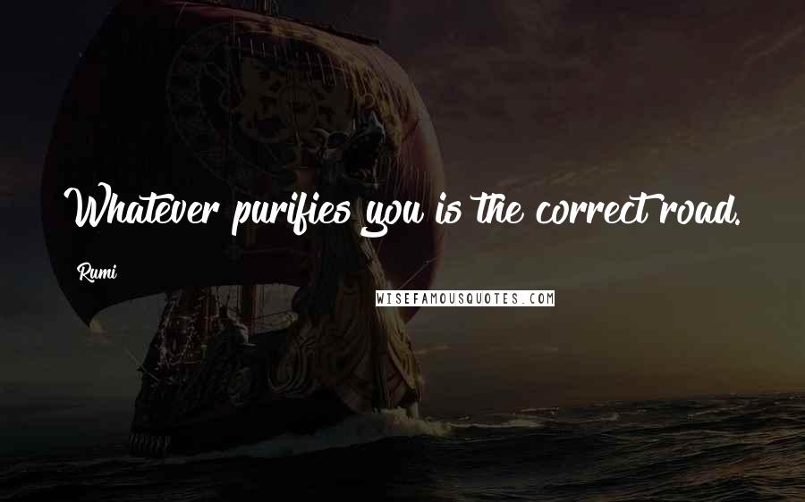 Rumi Quotes: Whatever purifies you is the correct road.