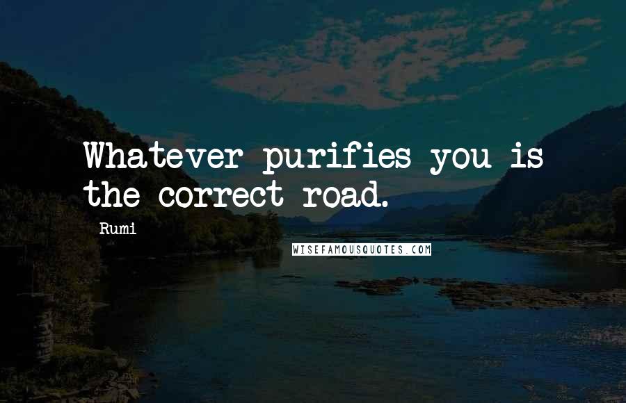 Rumi Quotes: Whatever purifies you is the correct road.