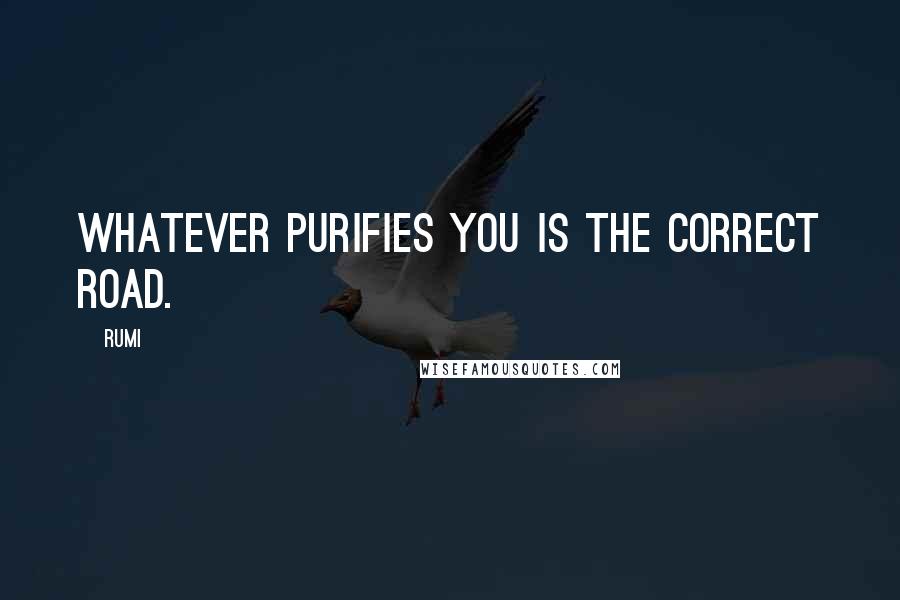 Rumi Quotes: Whatever purifies you is the correct road.