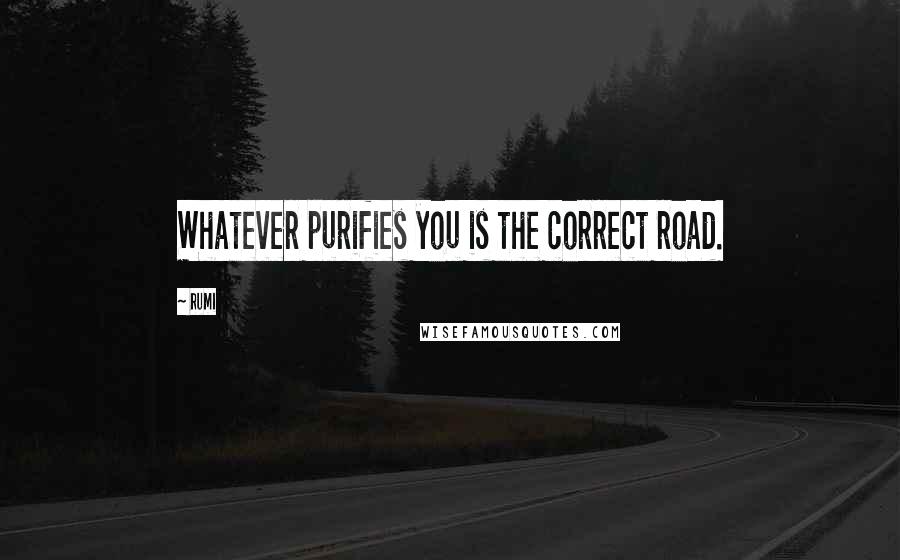 Rumi Quotes: Whatever purifies you is the correct road.