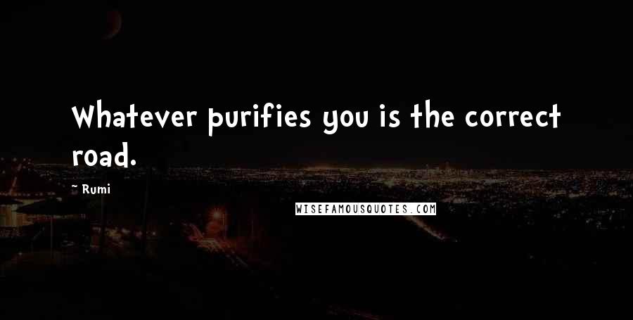 Rumi Quotes: Whatever purifies you is the correct road.