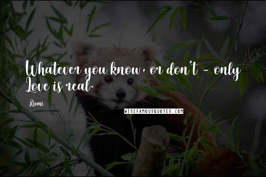 Rumi Quotes: Whatever you know, or don't - only Love is real.