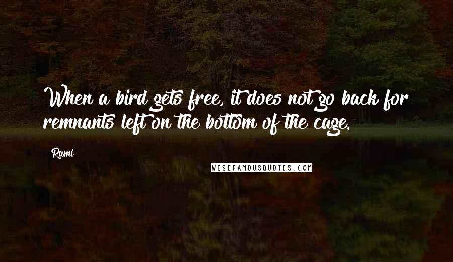 Rumi Quotes: When a bird gets free, it does not go back for remnants left on the bottom of the cage.