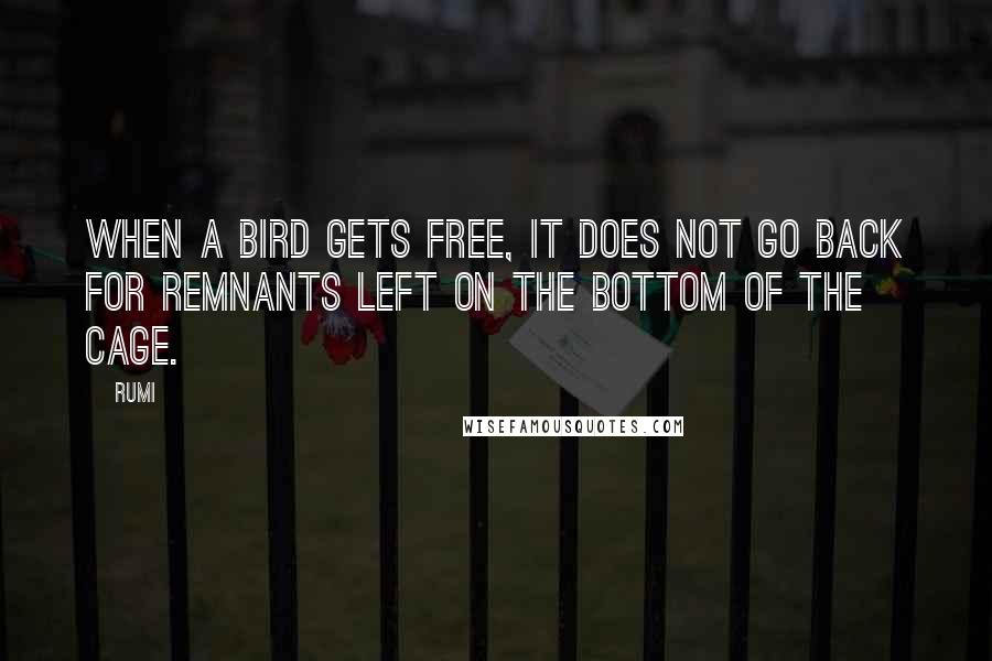 Rumi Quotes: When a bird gets free, it does not go back for remnants left on the bottom of the cage.