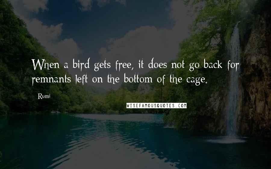 Rumi Quotes: When a bird gets free, it does not go back for remnants left on the bottom of the cage.