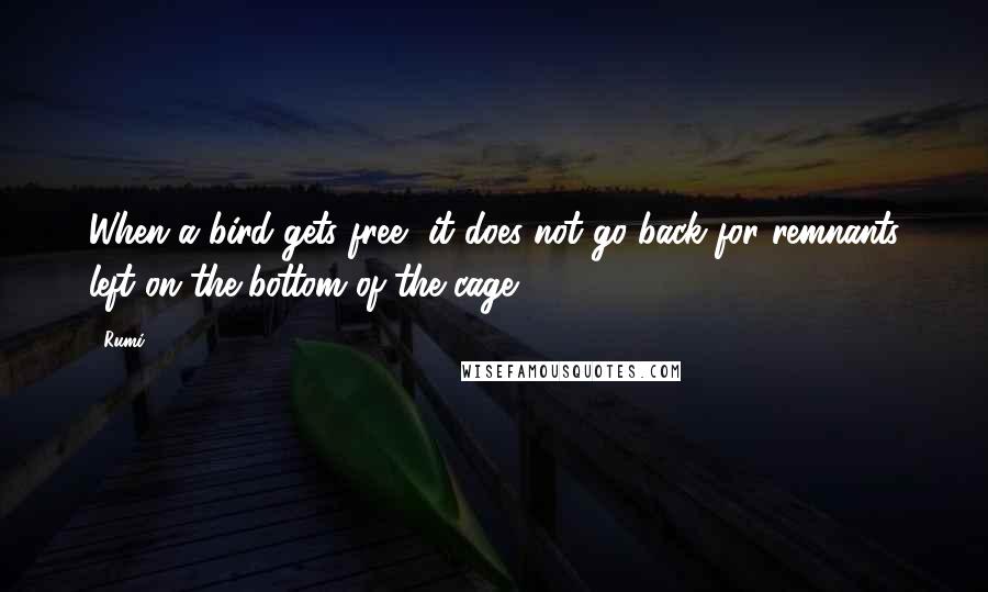 Rumi Quotes: When a bird gets free, it does not go back for remnants left on the bottom of the cage.