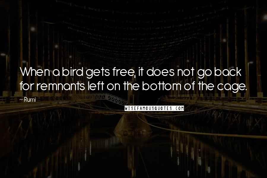 Rumi Quotes: When a bird gets free, it does not go back for remnants left on the bottom of the cage.