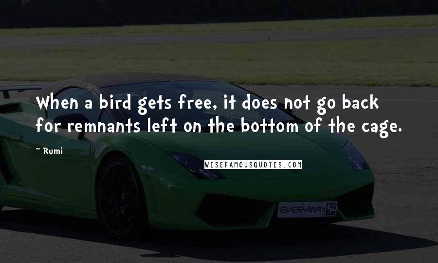 Rumi Quotes: When a bird gets free, it does not go back for remnants left on the bottom of the cage.