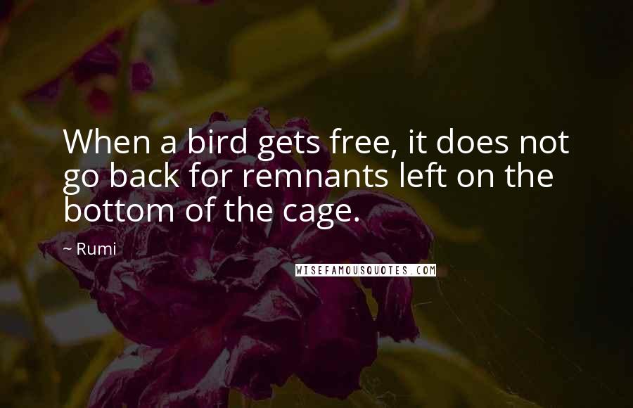 Rumi Quotes: When a bird gets free, it does not go back for remnants left on the bottom of the cage.