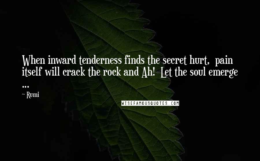 Rumi Quotes: When inward tenderness finds the secret hurt, pain itself will crack the rock and Ah! Let the soul emerge ...