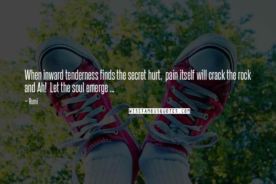 Rumi Quotes: When inward tenderness finds the secret hurt, pain itself will crack the rock and Ah! Let the soul emerge ...
