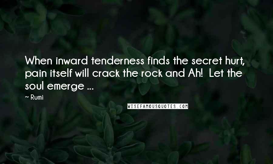 Rumi Quotes: When inward tenderness finds the secret hurt, pain itself will crack the rock and Ah! Let the soul emerge ...