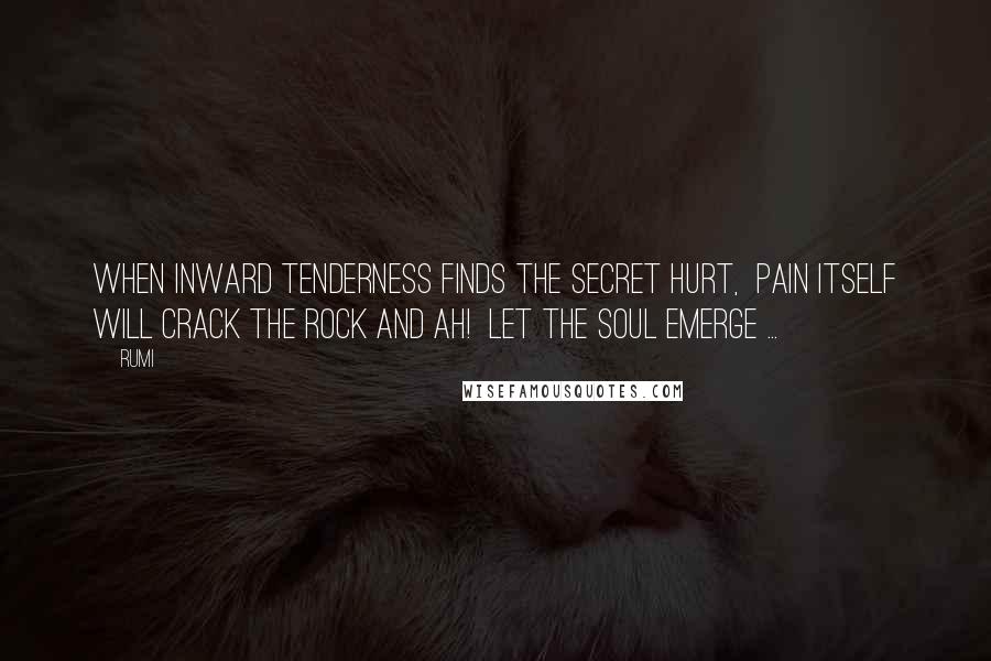 Rumi Quotes: When inward tenderness finds the secret hurt, pain itself will crack the rock and Ah! Let the soul emerge ...
