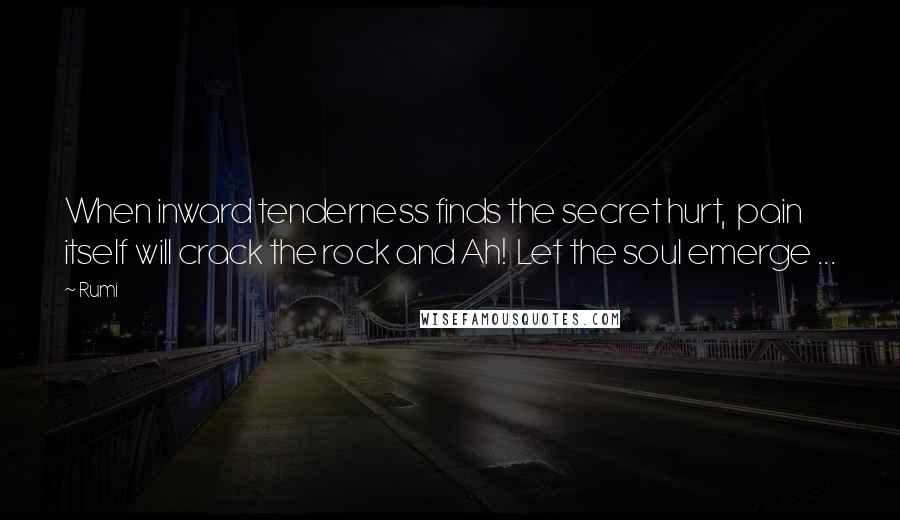 Rumi Quotes: When inward tenderness finds the secret hurt, pain itself will crack the rock and Ah! Let the soul emerge ...