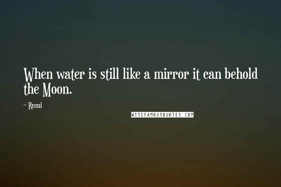 Rumi Quotes: When water is still like a mirror it can behold the Moon.
