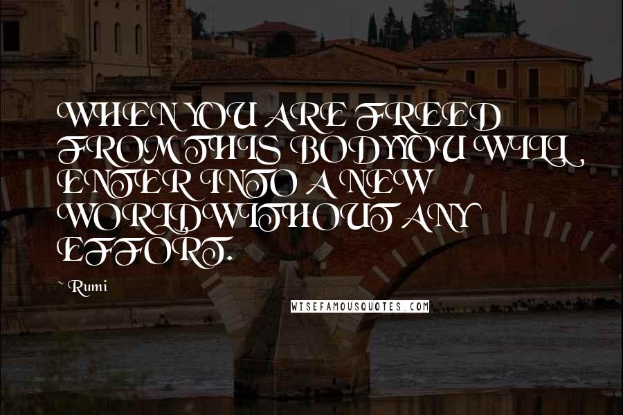 Rumi Quotes: WHEN YOU ARE FREED FROM THIS BODYYOU WILL ENTER INTO A NEW WORLDWITHOUT ANY EFFORT.