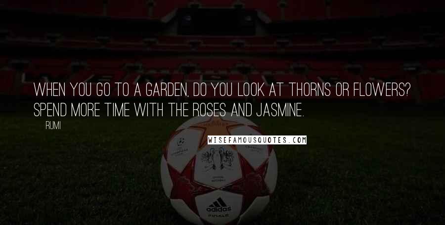 Rumi Quotes: When you go to a garden, do you look at thorns or flowers? Spend more time with the roses and jasmine.