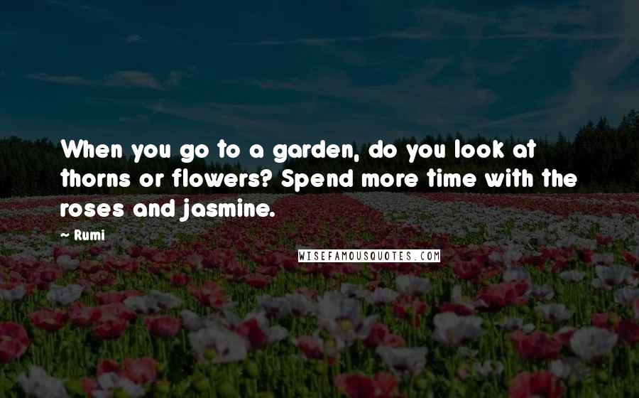 Rumi Quotes: When you go to a garden, do you look at thorns or flowers? Spend more time with the roses and jasmine.