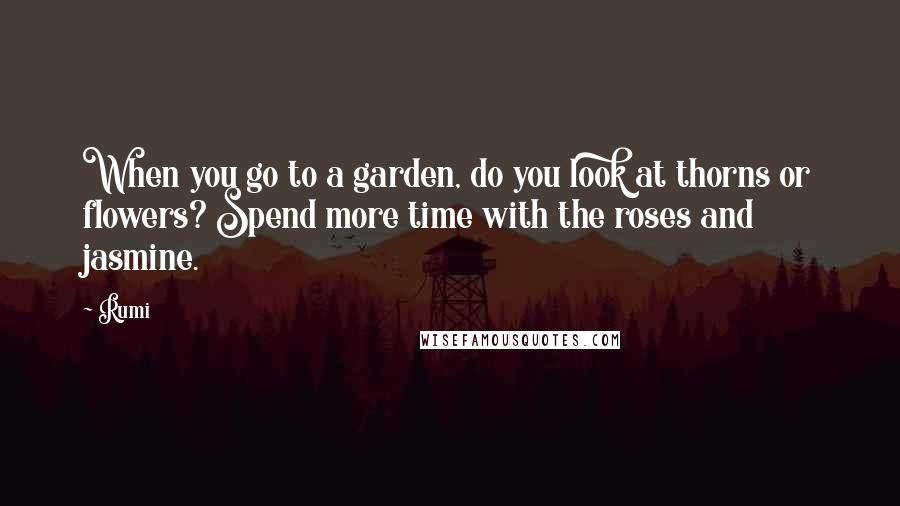 Rumi Quotes: When you go to a garden, do you look at thorns or flowers? Spend more time with the roses and jasmine.