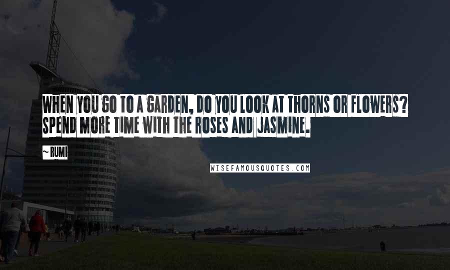 Rumi Quotes: When you go to a garden, do you look at thorns or flowers? Spend more time with the roses and jasmine.