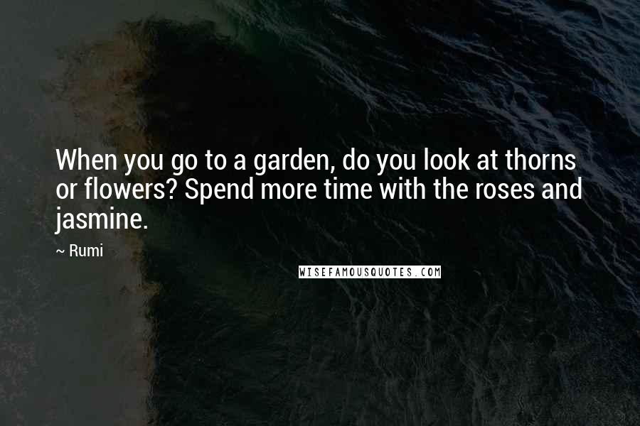 Rumi Quotes: When you go to a garden, do you look at thorns or flowers? Spend more time with the roses and jasmine.