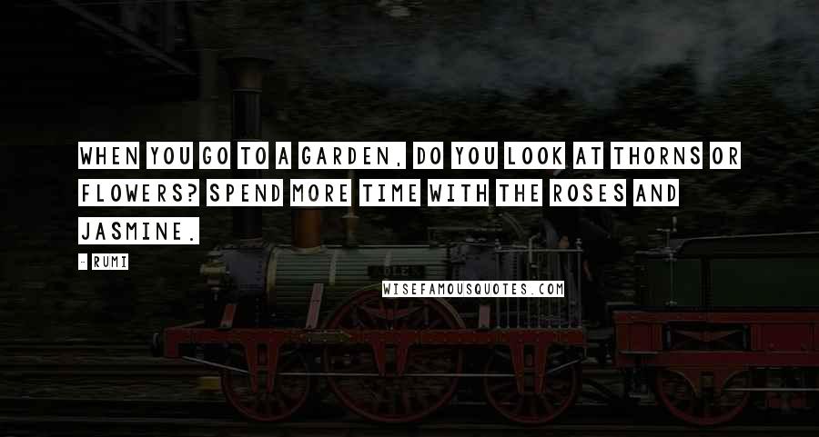 Rumi Quotes: When you go to a garden, do you look at thorns or flowers? Spend more time with the roses and jasmine.