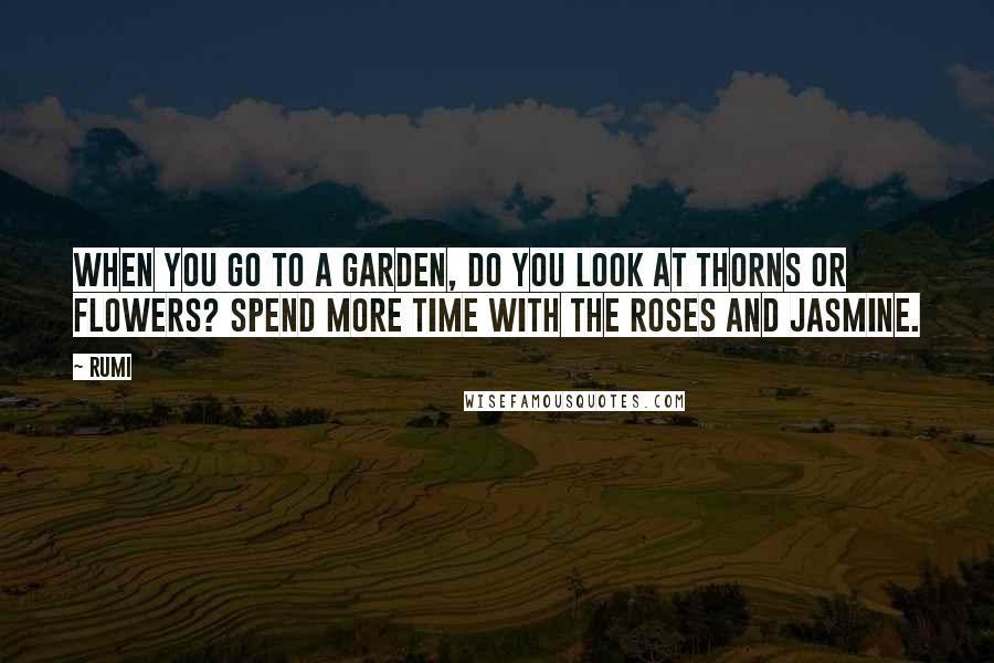 Rumi Quotes: When you go to a garden, do you look at thorns or flowers? Spend more time with the roses and jasmine.