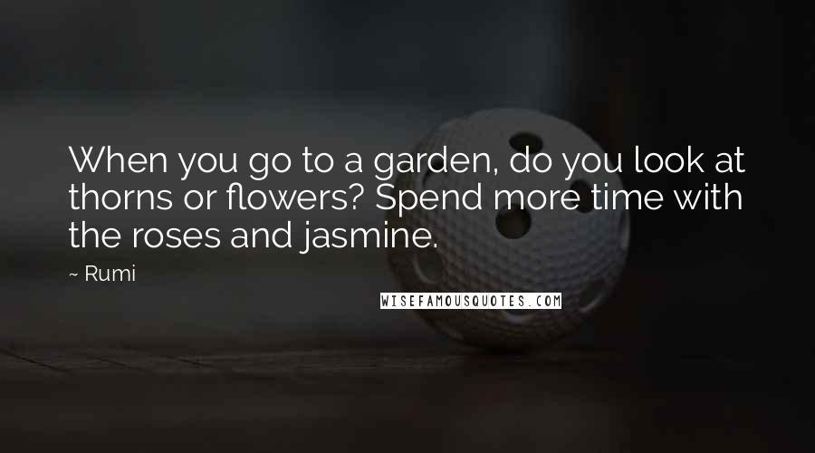 Rumi Quotes: When you go to a garden, do you look at thorns or flowers? Spend more time with the roses and jasmine.