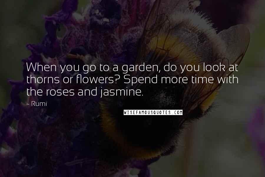 Rumi Quotes: When you go to a garden, do you look at thorns or flowers? Spend more time with the roses and jasmine.
