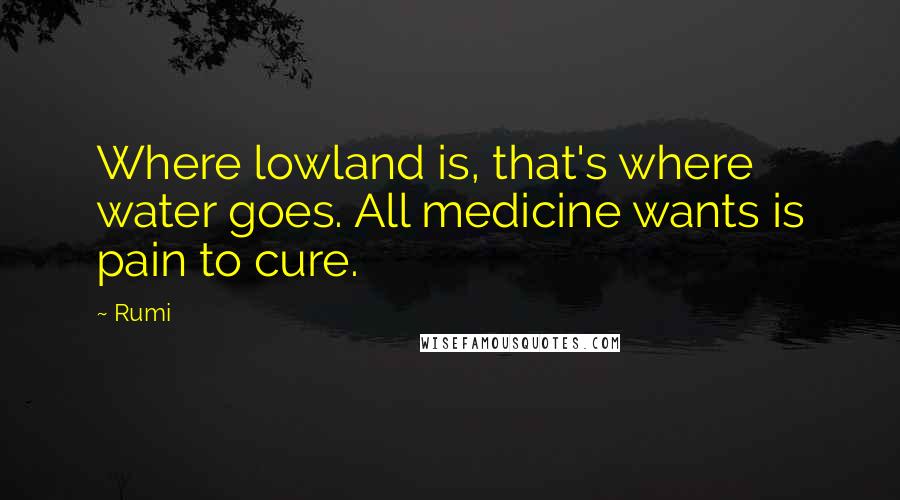 Rumi Quotes: Where lowland is, that's where water goes. All medicine wants is pain to cure.