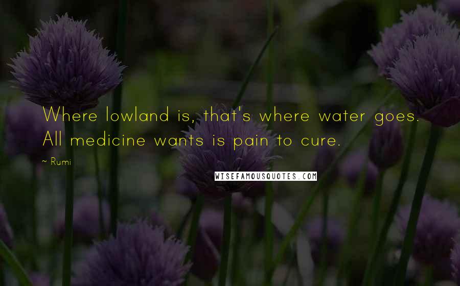 Rumi Quotes: Where lowland is, that's where water goes. All medicine wants is pain to cure.