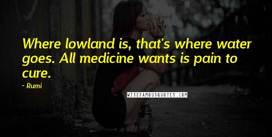 Rumi Quotes: Where lowland is, that's where water goes. All medicine wants is pain to cure.