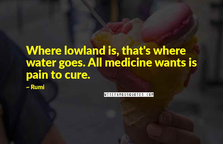 Rumi Quotes: Where lowland is, that's where water goes. All medicine wants is pain to cure.