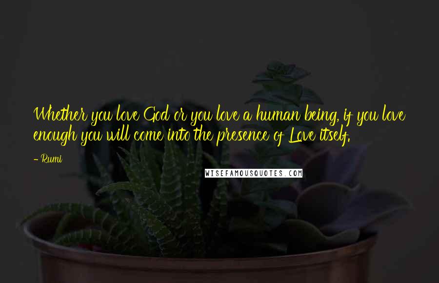 Rumi Quotes: Whether you love God or you love a human being, if you love enough you will come into the presence of Love itself.