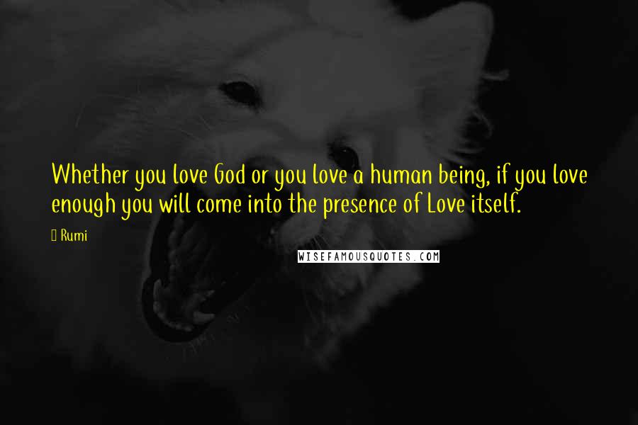 Rumi Quotes: Whether you love God or you love a human being, if you love enough you will come into the presence of Love itself.