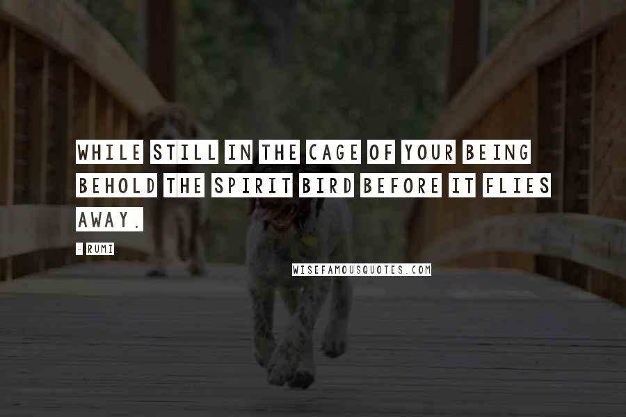 Rumi Quotes: While still in the cage of your being behold the spirit bird before it flies away.