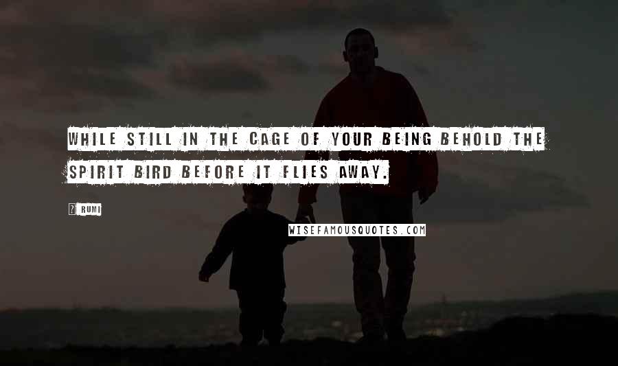 Rumi Quotes: While still in the cage of your being behold the spirit bird before it flies away.