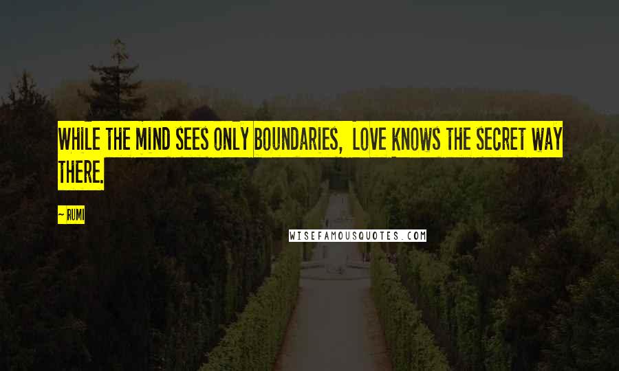 Rumi Quotes: While the mind sees only boundaries, Love knows the secret way there.