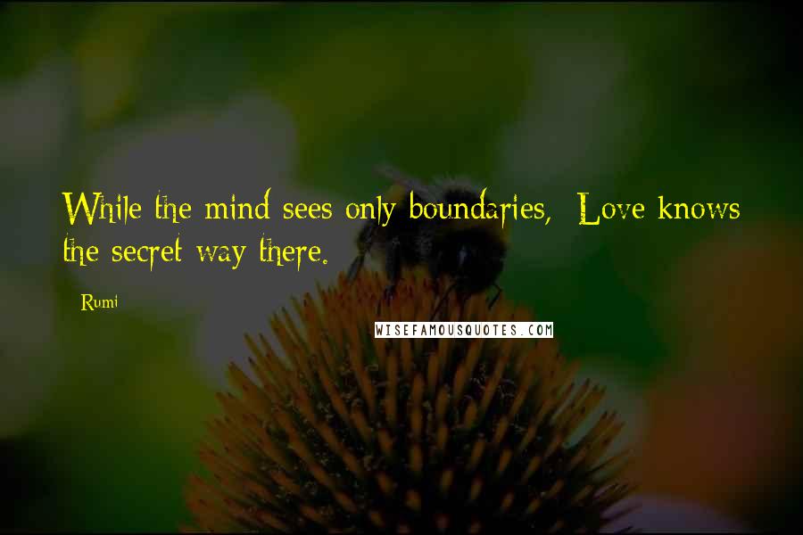 Rumi Quotes: While the mind sees only boundaries, Love knows the secret way there.