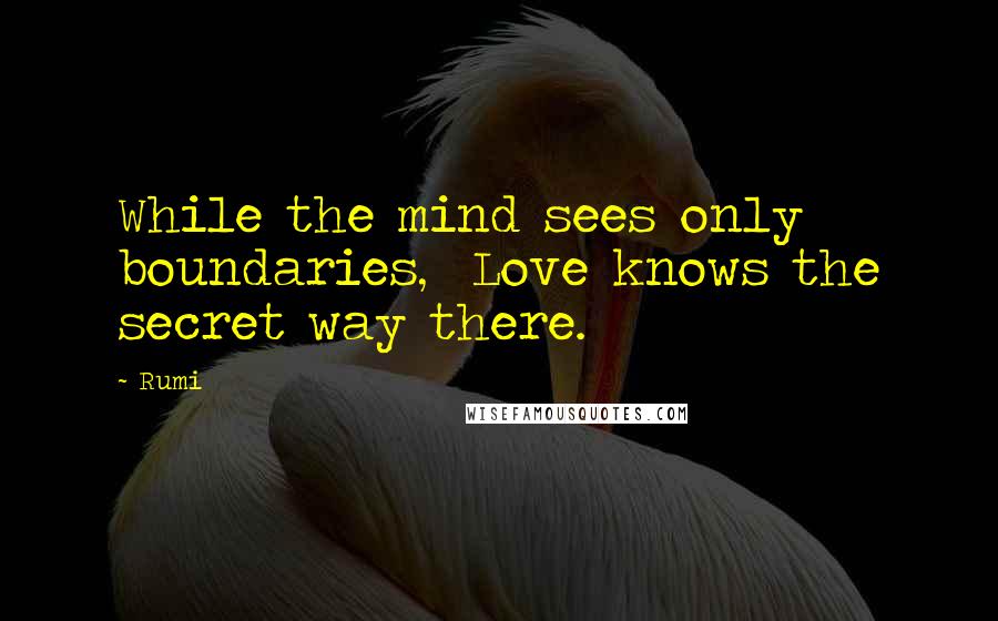 Rumi Quotes: While the mind sees only boundaries, Love knows the secret way there.