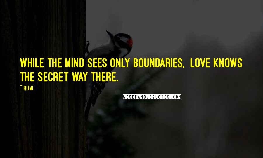 Rumi Quotes: While the mind sees only boundaries, Love knows the secret way there.