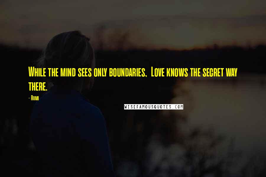 Rumi Quotes: While the mind sees only boundaries, Love knows the secret way there.