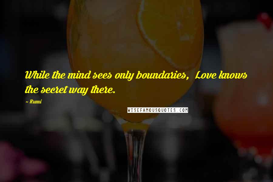 Rumi Quotes: While the mind sees only boundaries, Love knows the secret way there.