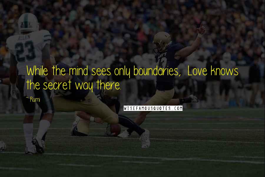 Rumi Quotes: While the mind sees only boundaries, Love knows the secret way there.