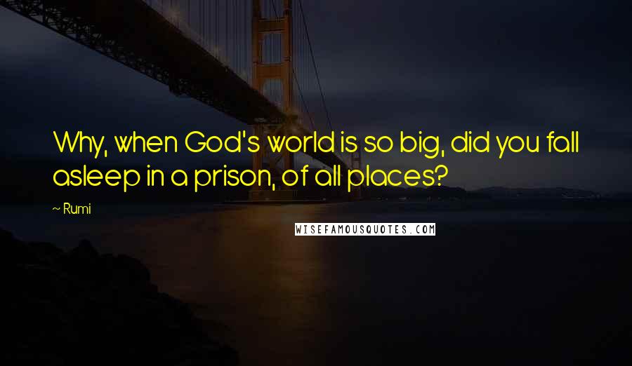 Rumi Quotes: Why, when God's world is so big, did you fall asleep in a prison, of all places?