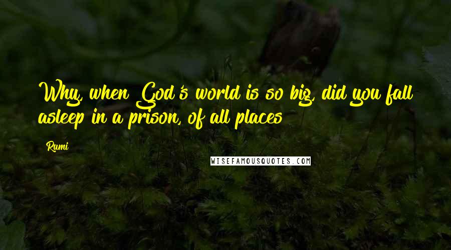 Rumi Quotes: Why, when God's world is so big, did you fall asleep in a prison, of all places?