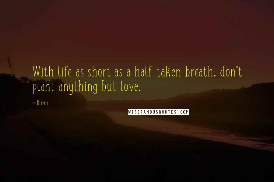 Rumi Quotes: With life as short as a half taken breath, don't plant anything but love.